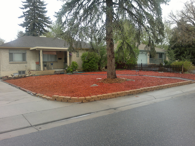 House with red gravel in front and one tree in the middle of the gravel 